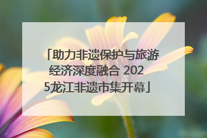 助力非遗保护与旅游经济深度融合 2025龙江非遗市集开幕