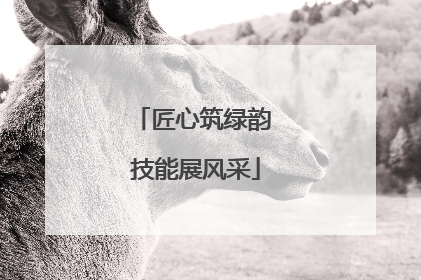 匠心筑绿韵 技能展风采