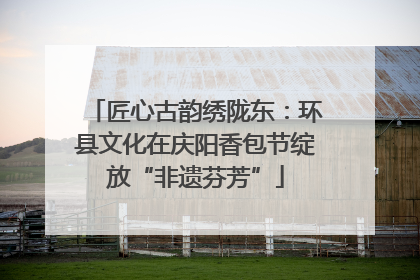 匠心古韵绣陇东：环县文化在庆阳香包节绽放“非遗芬芳”