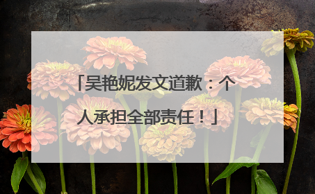 吴艳妮发文道歉：个人承担全部责任！