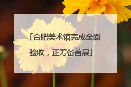 合肥美术馆完成全面验收，正筹备首展