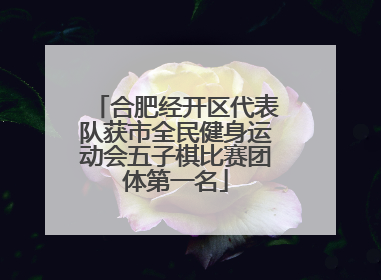合肥经开区代表队获市全民健身运动会五子棋比赛团体第一名