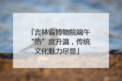 吉林省博物院端午“热”度升温，传统文化魅力尽显