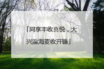 同享丰收喜悦，大兴瀛海麦收开镰