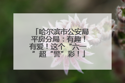 哈尔滨市公安局平房分局：有趣！有爱！这个“六一”超“警”彩！