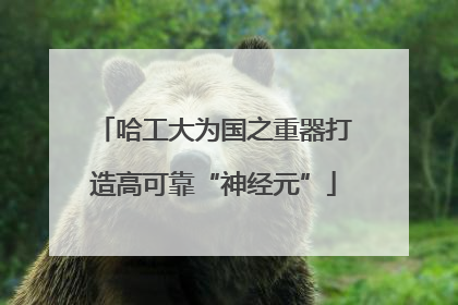 哈工大为国之重器打造高可靠“神经元”