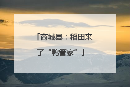 商城县：稻田来了“鸭管家”