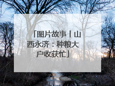 图片故事丨山西永济：种粮大户收获忙