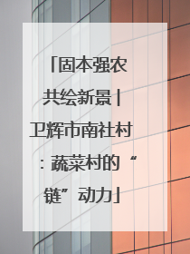 固本强农 共绘新景 ︳卫辉市南社村：蔬菜村的“链”动力