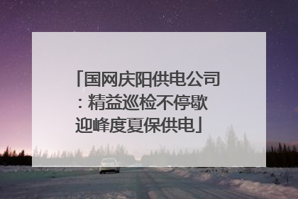 国网庆阳供电公司：精益巡检不停歇 迎峰度夏保供电