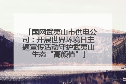 国网武夷山市供电公司：开展世界环境日主题宣传活动守护武夷山生态“高颜值”