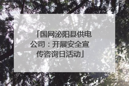 国网泌阳县供电公司：开展安全宣传咨询日活动