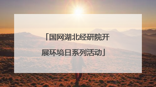 国网湖北经研院开展环境日系列活动