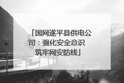 国网遂平县供电公司：强化安全意识 筑牢网安防线