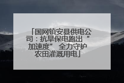 国网镇安县供电公司：抗旱保电跑出“加速度” 全力守护农田灌溉用电