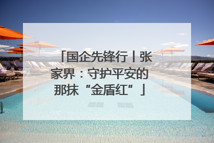 国企先锋行丨张家界：守护平安的那抹“金盾红”