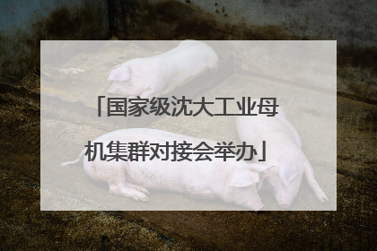 国家级沈大工业母机集群对接会举办