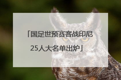 国足世预赛客战印尼25人大名单出炉