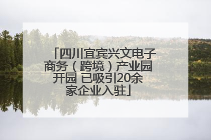 四川宜宾兴文电子商务（跨境）产业园开园 已吸引20余家企业入驻