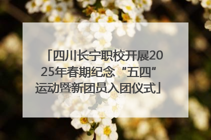 四川长宁职校开展2025年春期纪念“五四”运动暨新团员入团仪式