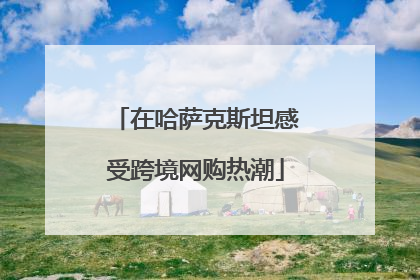 在哈萨克斯坦感受跨境网购热潮