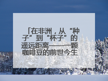 在非洲，从“种子”到“杯子”的遥远距离——一颗咖啡豆的前世今生（三）