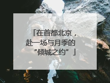 在首都北京，赴一场与月季的“倾城之约”