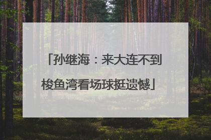 孙继海：来大连不到梭鱼湾看场球挺遗憾