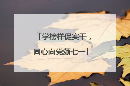 学榜样促实干，同心向党颂七一