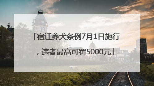 宿迁养犬条例7月1日施行，违者最高可罚5000元