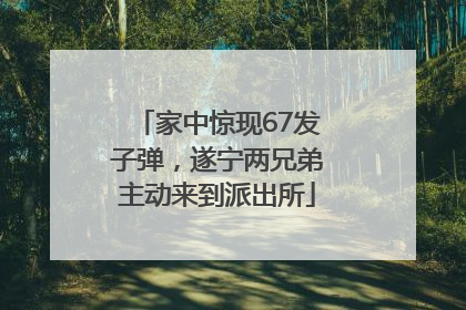 家中惊现67发子弹，遂宁两兄弟主动来到派出所