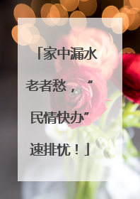 家中漏水老者愁，“民情快办”速排忧！
