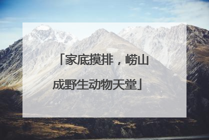 家底摸排，崂山成野生动物天堂