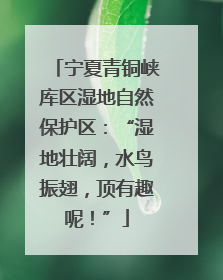 宁夏青铜峡库区湿地自然保护区：“湿地壮阔，水鸟振翅，顶有趣呢！”