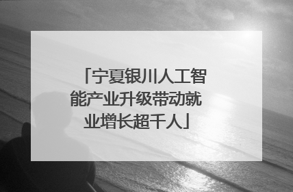 宁夏银川人工智能产业升级带动就业增长超千人