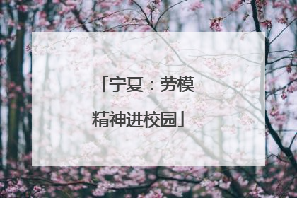 宁夏：劳模精神进校园