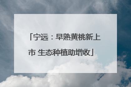 宁远：早熟黄桃新上市 生态种植助增收