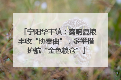 宁阳华丰镇：奏响夏粮丰收“协奏曲”，多举措护航“金色粮仓”
