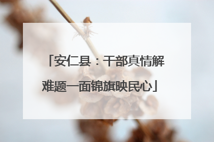 安仁县：干部真情解难题一面锦旗映民心