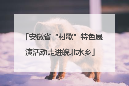 安徽省“村歌”特色展演活动走进皖北水乡