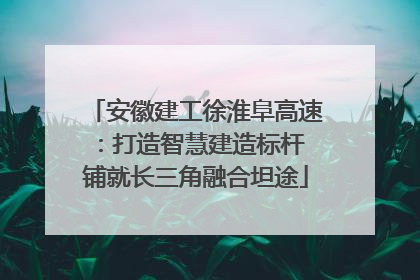安徽建工徐淮阜高速：打造智慧建造标杆 铺就长三角融合坦途