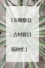 安徽黟县：古村夏日插秧忙