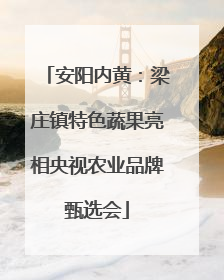 安阳内黄：梁庄镇特色蔬果亮相央视农业品牌甄选会