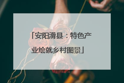 安阳滑县：特色产业绘就乡村图景
