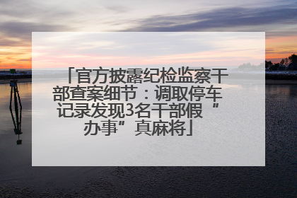 官方披露纪检监察干部查案细节：调取停车记录发现3名干部假“办事”真麻将