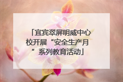 宜宾翠屏明威中心校开展“安全生产月”系列教育活动