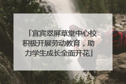 宜宾翠屏草堂中心校积极开展劳动教育，助力学生成长全面开花