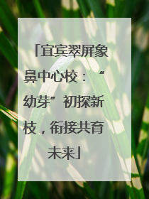 宜宾翠屏象鼻中心校：“幼芽”初探新枝，衔接共育未来