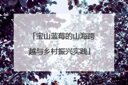 宝山蓝莓的山海跨越与乡村振兴实践
