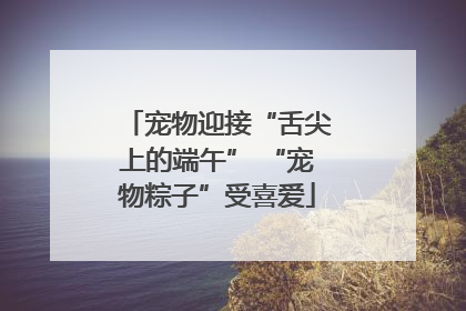 宠物迎接“舌尖上的端午” “宠物粽子”受喜爱